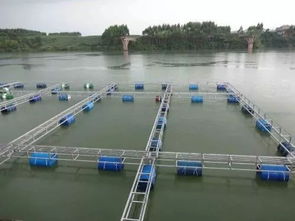 飼料丨300萬噸飼料市場競爭地圖 通威 海大博弈多年,將是飼料價(jià)格戰(zhàn)最慘烈的市場