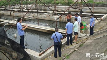 循環水處理有水可養魚蝦 水產養殖技術
