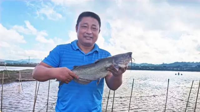 養殖、加工、銷售一條龍!這個基地養出來的叉尾鮰全程可溯源,大受市場歡迎!