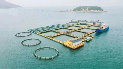 高水平建設(shè)&ldquo;深藍(lán)糧倉(cāng)&rdquo; 農(nóng)科集團(tuán)擬投資20億元打造深遠(yuǎn)海養(yǎng)殖平臺(tái)