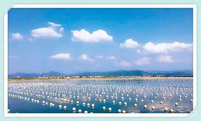 諸暨珍珠產(chǎn)業(yè):錨定數(shù)字化 開(kāi)辟新藍(lán)海