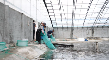 對(duì)蝦畝均產(chǎn)量提升60倍,三門(mén)這個(gè)養(yǎng)殖基地靠什么?