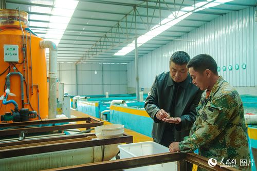 四川營(yíng)山 專(zhuān)家助力水產(chǎn)養(yǎng)殖增收