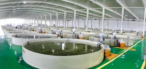 預測:我國特醫食品市場需求巨大;安井食品:發力團餐供應鏈