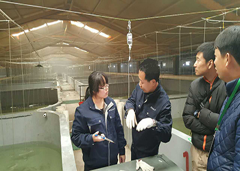 告別&ldquo;嗑藥&rdquo;魚!我國首個(gè)海水魚活疫苗投產(chǎn)應(yīng)用_新聞_央視網(wǎng)(cctv.com)