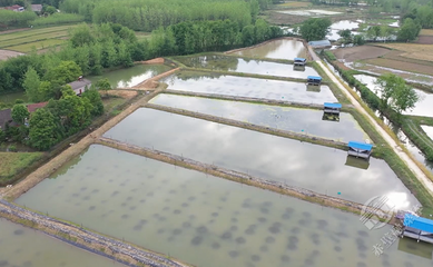 赤壁:打造高質量發(fā)展研究院 服務縣域經(jīng)濟發(fā)展