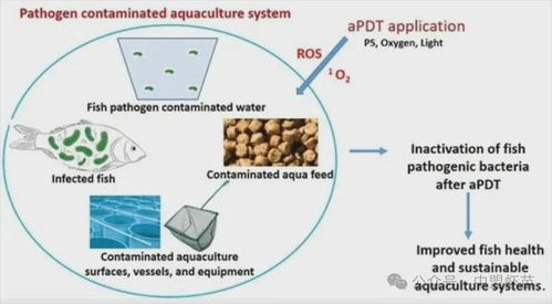 水產(chǎn)養(yǎng)殖出新利器 這項新技術,能夠改變整個養(yǎng)殖行業(yè)嗎