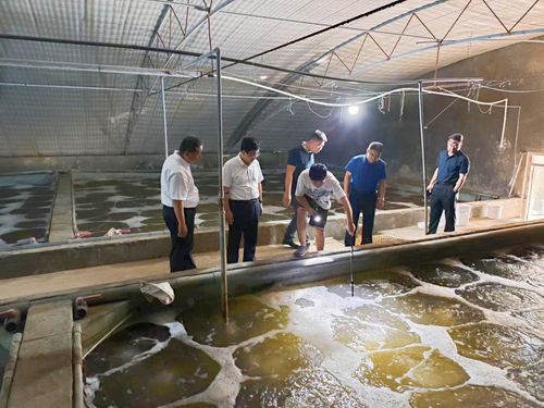 東營市人民政府 部門動態(tài) 市海洋發(fā)展和漁業(yè)局局長荊向輝帶隊開展 進漁村 入漁港 上漁船 訪漁民 活動