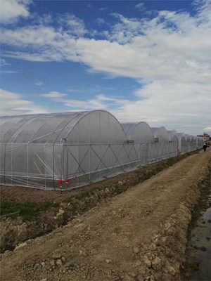 大棚鋼架水產養殖大棚規格齊全