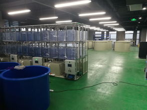 科創組團, 工業化淡水水產養殖研發中心 矚目而成