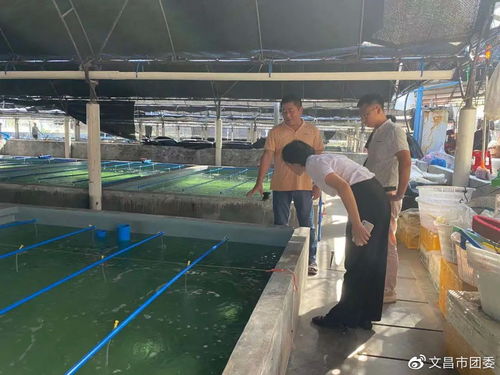 海南文昌市團委到會文鎮煙堆村調研水產養殖產業及鄉村振興工作