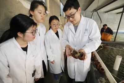 連云港贛榆建立國內(nèi)首個(gè)短蛸繁育養(yǎng)成體系