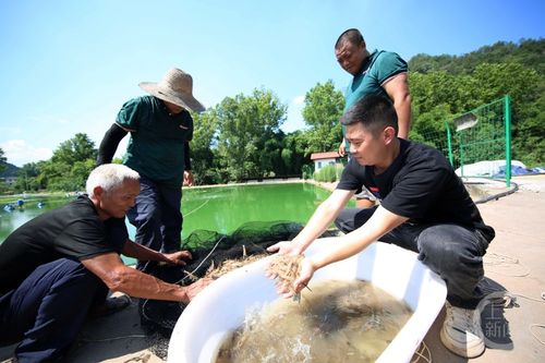 重慶巴南 水產養殖助增收
