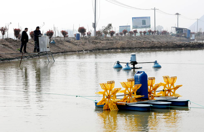 淮北水產(chǎn)養(yǎng)殖產(chǎn)業(yè)發(fā)展現(xiàn)狀與未來(lái)展望