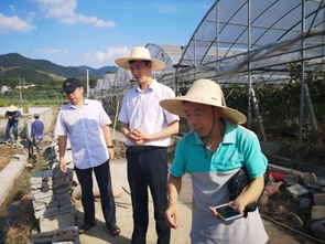 水產(chǎn)養(yǎng)殖災(zāi)后恢復(fù)技術(shù)指導(dǎo) 浙江磐安、德清兩地行